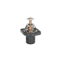 Thermostat d'eau