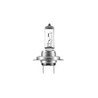 Ampoule projecteur de travail