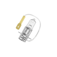 Ampoule projecteur longue portée